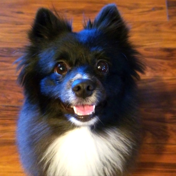 Meet your Posher, Brendayaderin - Picture 1 of 1